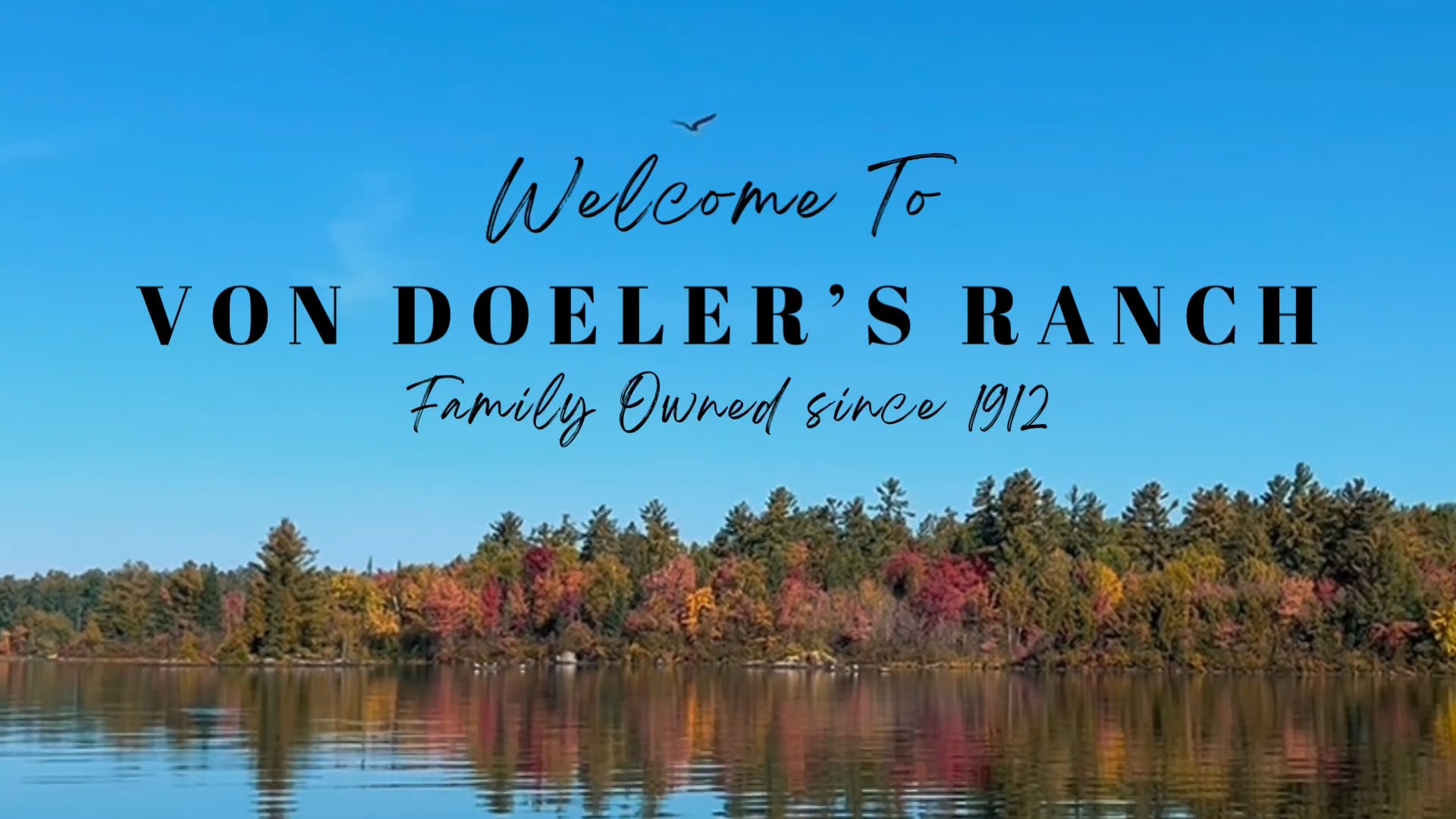 Von Doeler's Ranch - Horseback Riding, Ranch, Horse Riding