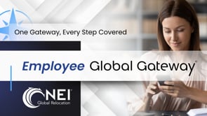 NEI Global Relocation video/presentation/materials