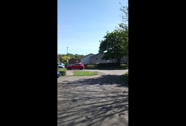 Video 1: