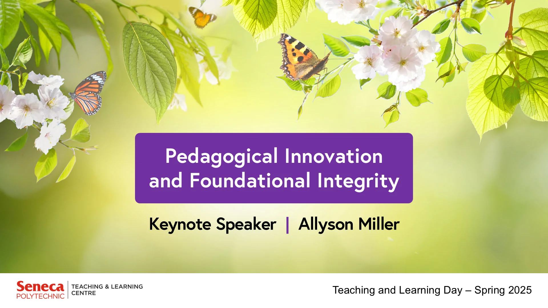Pedagogical Innovation and Foundational Integrity in the AI Era by Allyson Miller