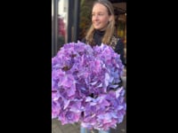 Kunstbloemen Hortensia