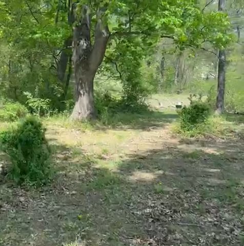 https://i.vimeocdn.com/video/2011299438-76cee58bb9eedfd2c0fd1e86d4f0dd152e039271e8f0d70e971d69842c3a71e8-d