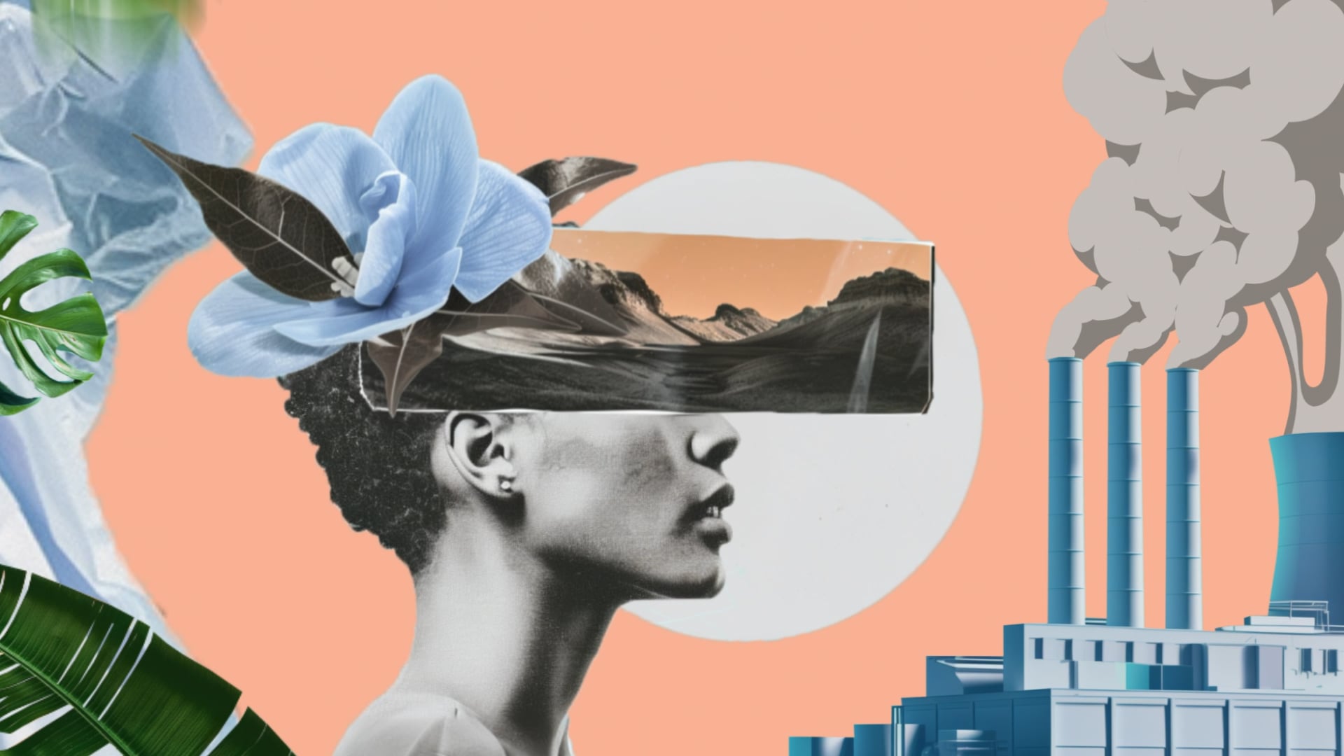 Summer Friday | Sustainability