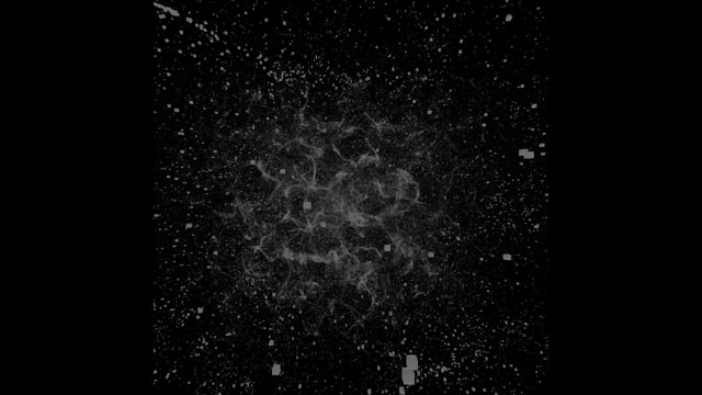 Miniscope Neuroscience Generative Audio-Visual Art System