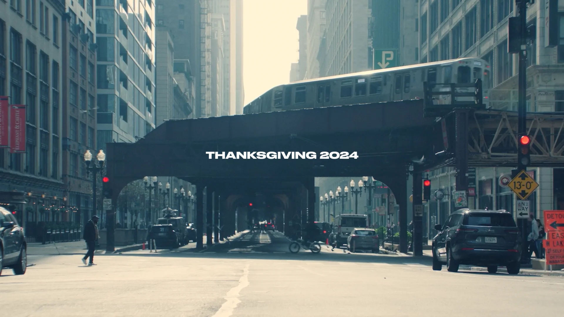 IAMS, "Waylon" Case Study