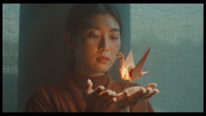 Related Embedded Video Item Thumbnail