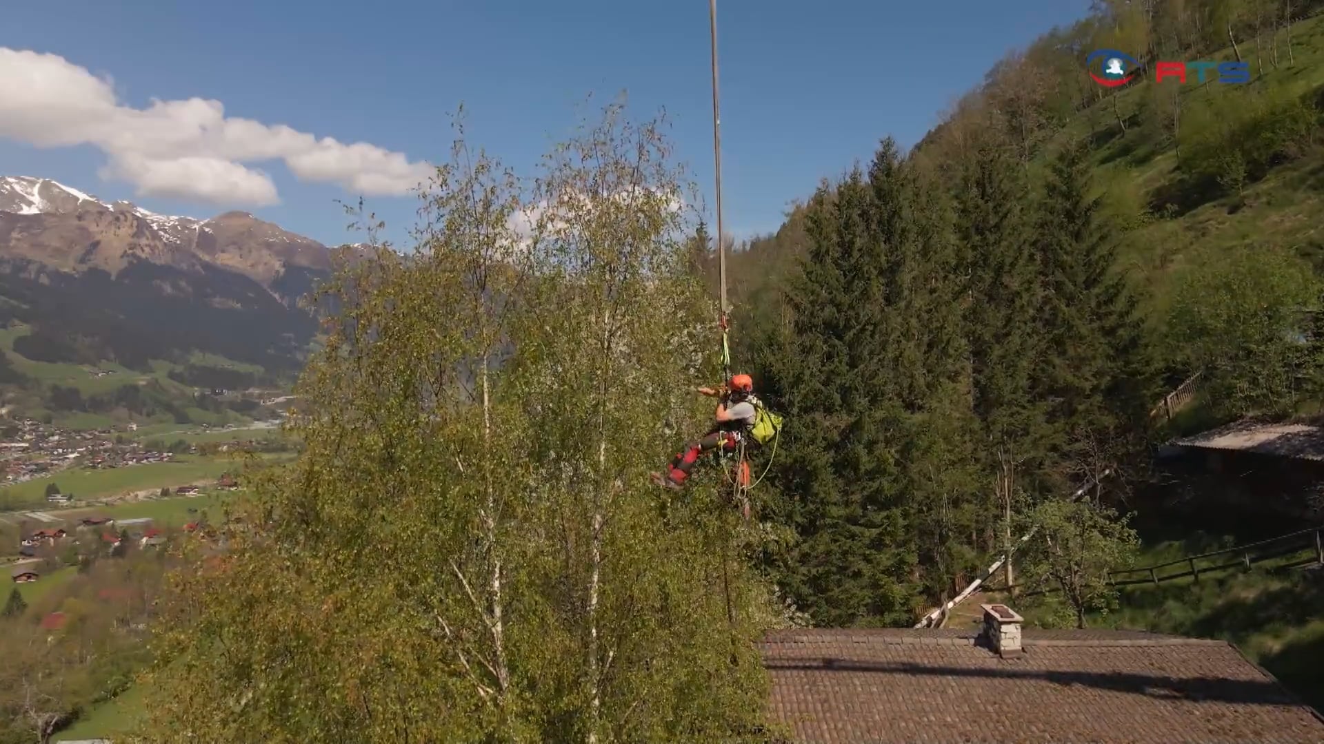hoch-hinaus-baumpflegeprofi-christoph-holleis-im-einsatz
