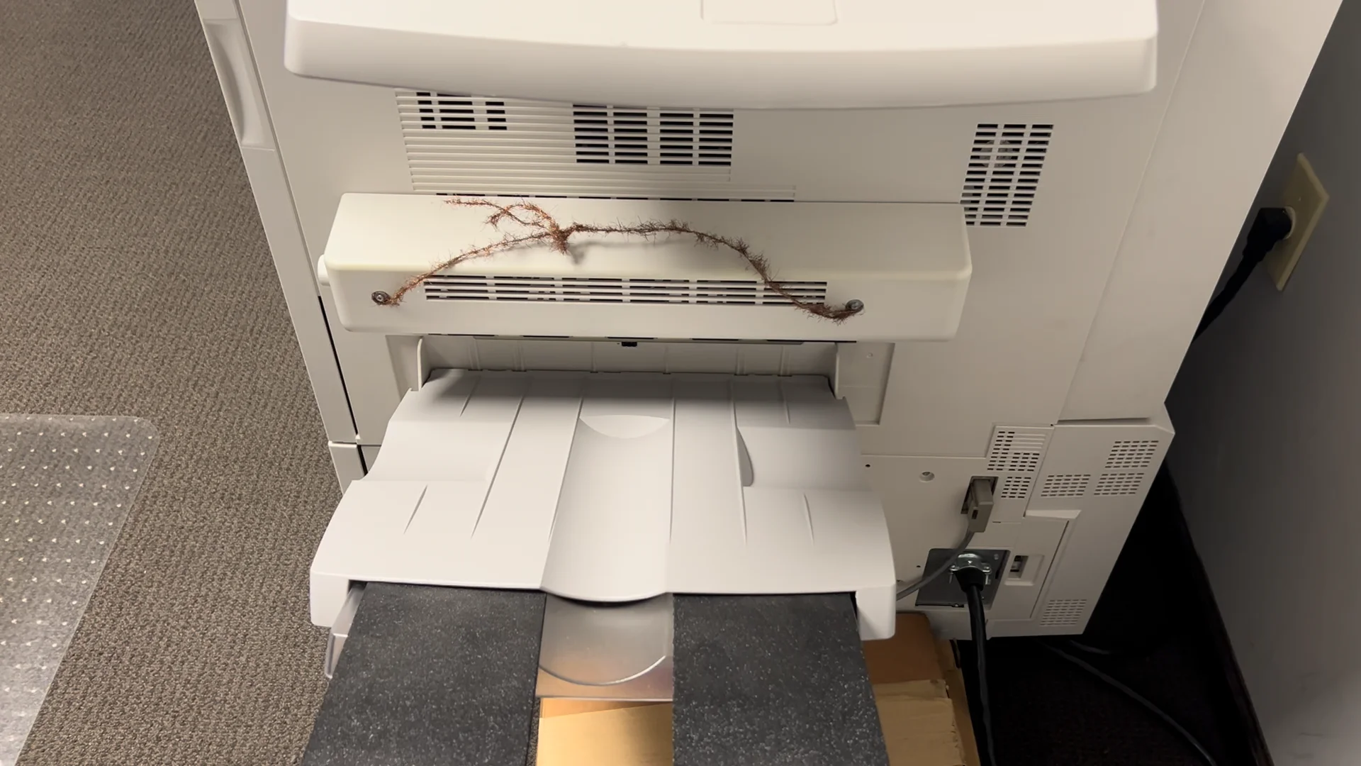 Spotxx様！メモリープラス専用ページ！ Digital Printing | MR Label Co.