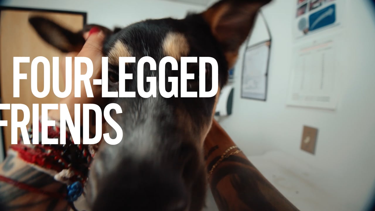 01_CABQ-100 Animal Humane