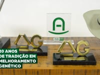 Institucional Fazenda Sant'Anna do APA