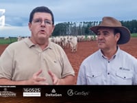 Matéria Especial