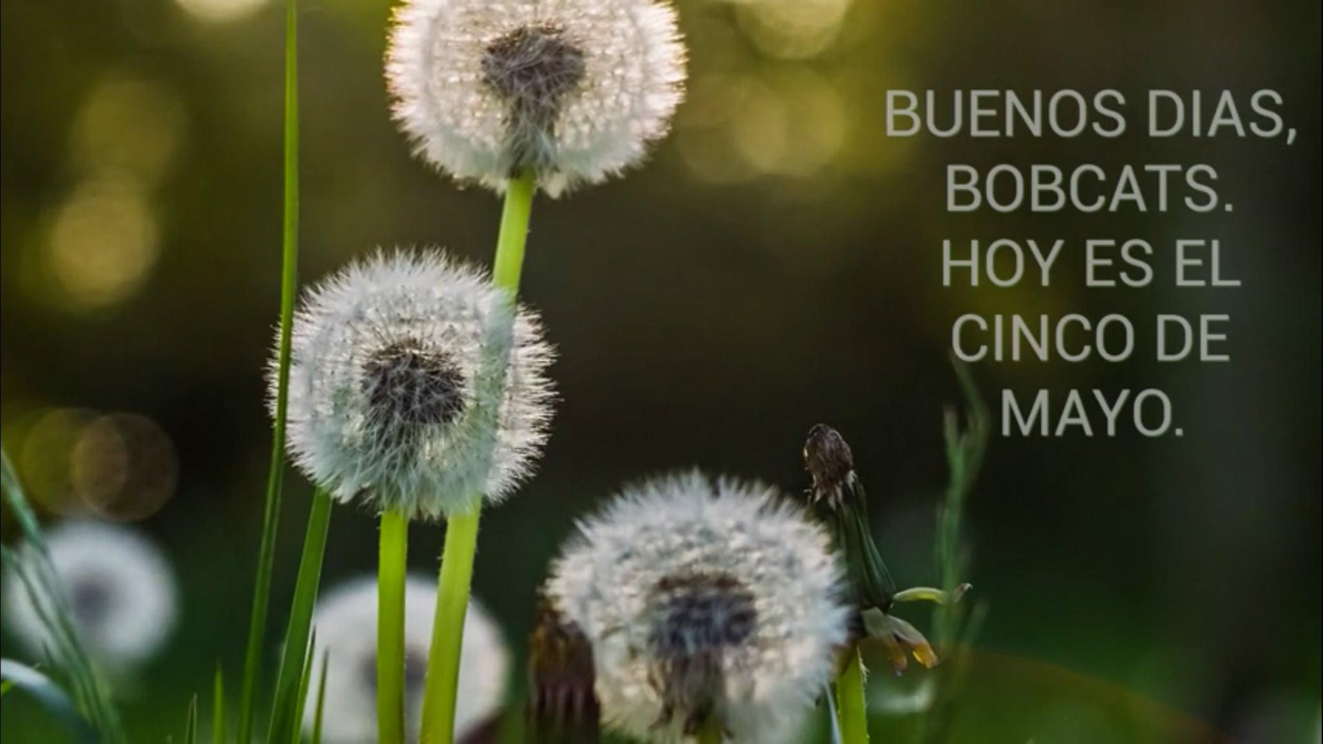 5_5_25 BTV