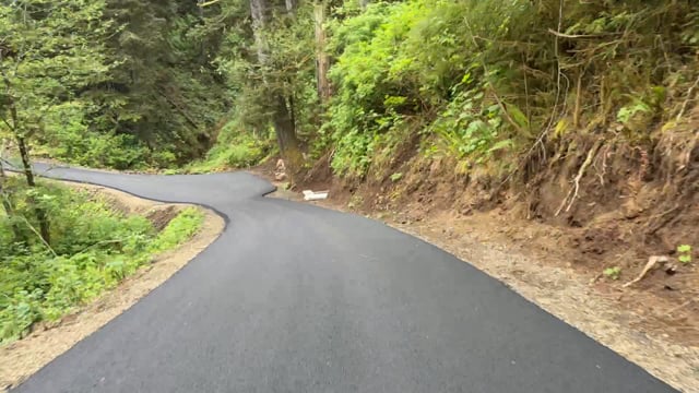 Neskowin Driveway