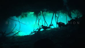 1347_silhouette of divers in Cenote Carwash, Yucatan Mexico