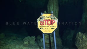 1348_Stop sign cenote Carwash, Yucatan Mexico