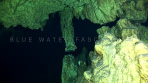 1350_Diving in Cenote Carwash, YUcatan Mexico