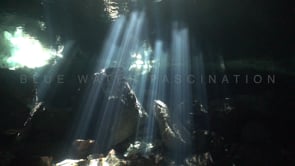 1363_sunrays shining through water surface in cenote Chikin Ha, Yucatan Mexico