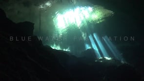 1365_Sun rays shining through water surface in Cenote Chikin Ha, Yucatan Mexico