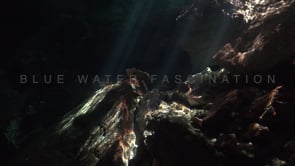 1366_Sun rays shining through water surface on rocks in Cenote Chinkin Ha, Yucatan Mexico