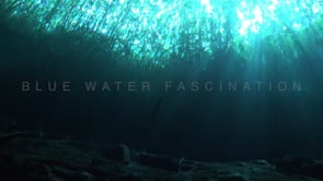 1369_View from below the surface Cenote Eden, Yucatan Mexico