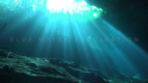 1370_Sun rays shining through Cenote Eden, Yucatan Mexico