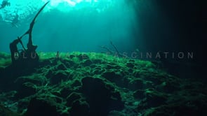 1352_Entry with sun rays Cenote Carwash, Yucatan Mexico