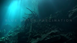 1372_Sun rays shining through surface in Cenote Eden, Yucatan Mexico