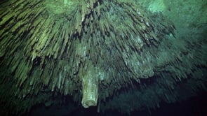 1381_ Stalagtites inside Cenote Tajma Ha, Yucatan Mexico.