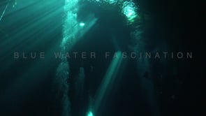 1389_light passing through water surface Cenote The Pit, Yucatan Mexico.