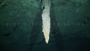 1390_Stalactite in Cenote The Pit, Yucatan Mexico