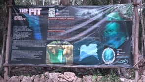 1391_Tarpaulin Cenote The Pit, Yucatan Mexico