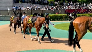 動画サムネイル