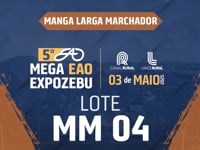 Lote MM04