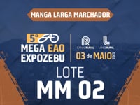 Lote MM02