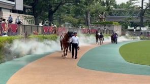 動画サムネイル