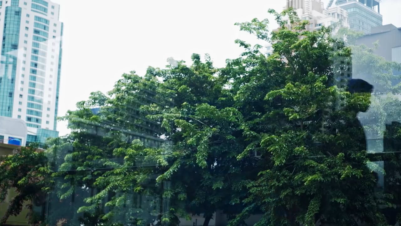 https://i.vimeocdn.com/video/2011981097-ce4d9f3a367b673a81a78ad6badefb2a1b8acc963368559224f49f5a01426214-d
