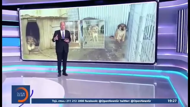 Τι απαντάει ο Δήμος Κρωπίας για το παράνομο Δημοτικό Κυνοκομείο 3-5-2025