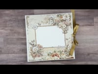 49 & Market One Perfect Day Album