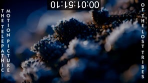 27_Day01_TheManchurianExplosion_EN3