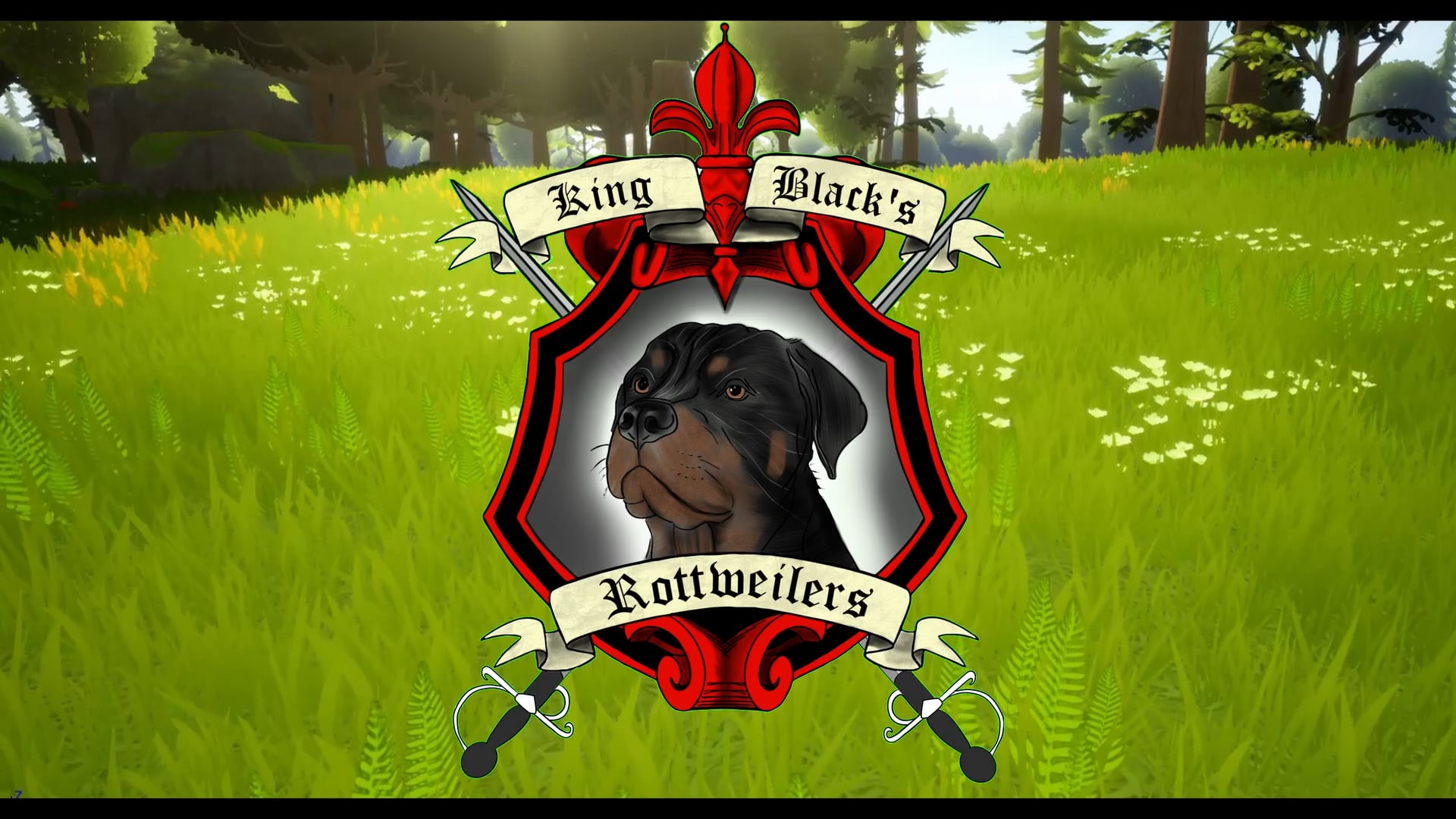 King Blacks Rottweilers