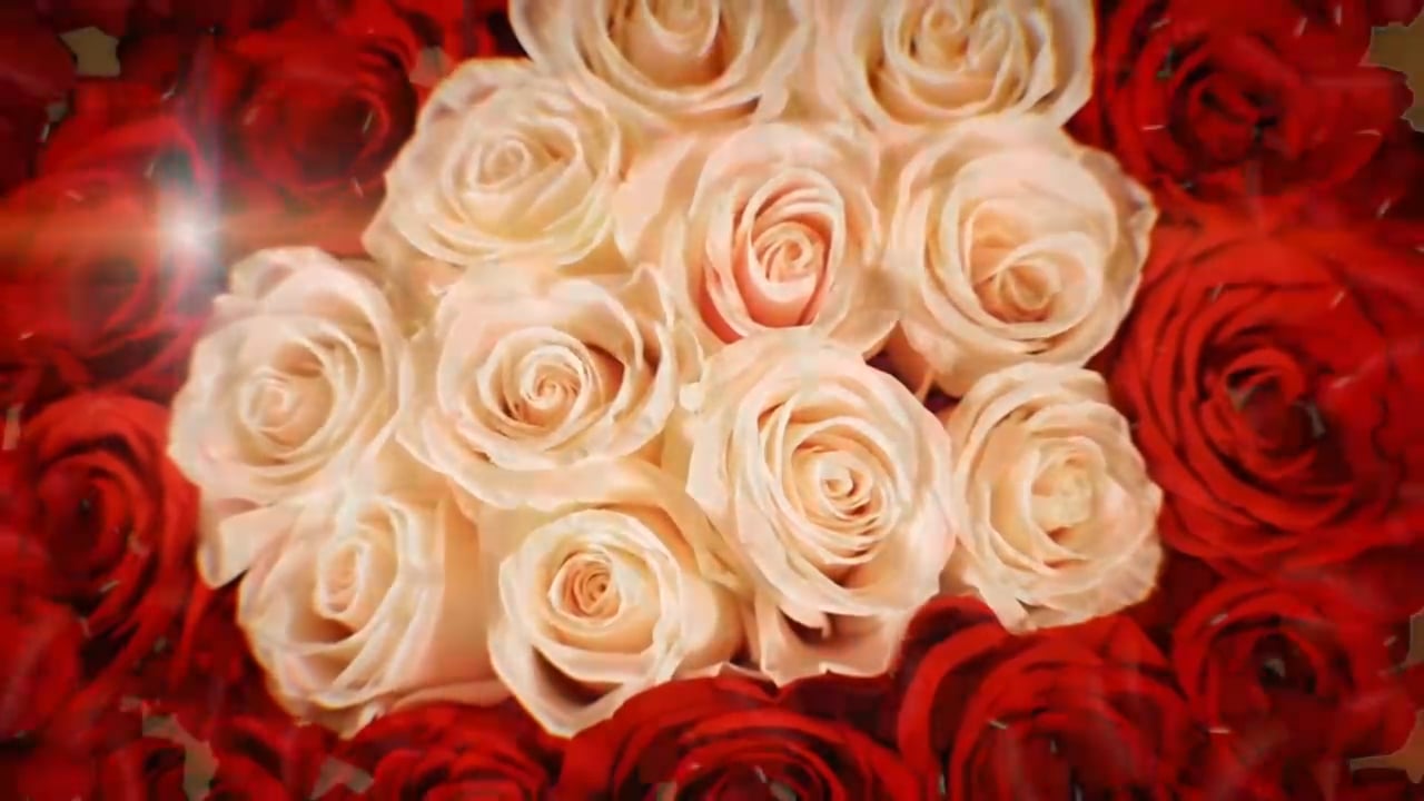 https://i.vimeocdn.com/video/2012123982-23dc1893b5530af0d88a92cfe4cb97d294c0e3c741051c62c9d6448c4de01904-d