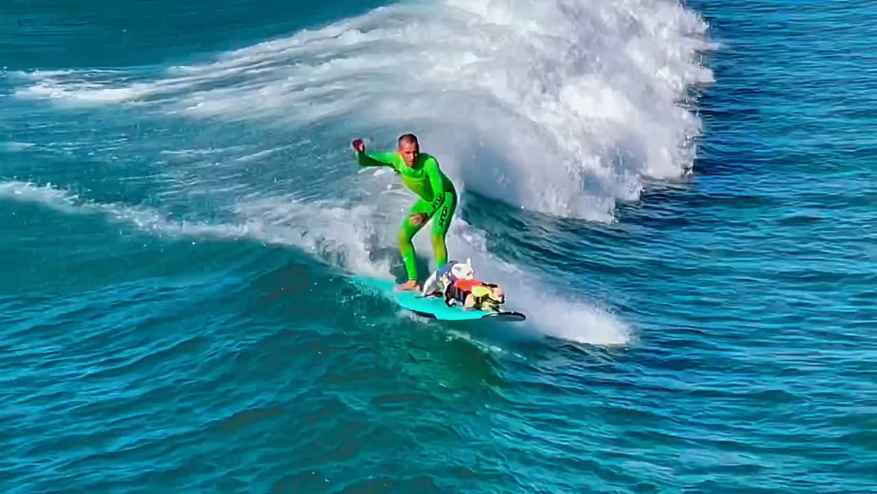 https://i.vimeocdn.com/video/2012131699-ae1df4408788619866c0cef466b32cd12df8b777ee3a24477dfefa7ce9790abb-d
