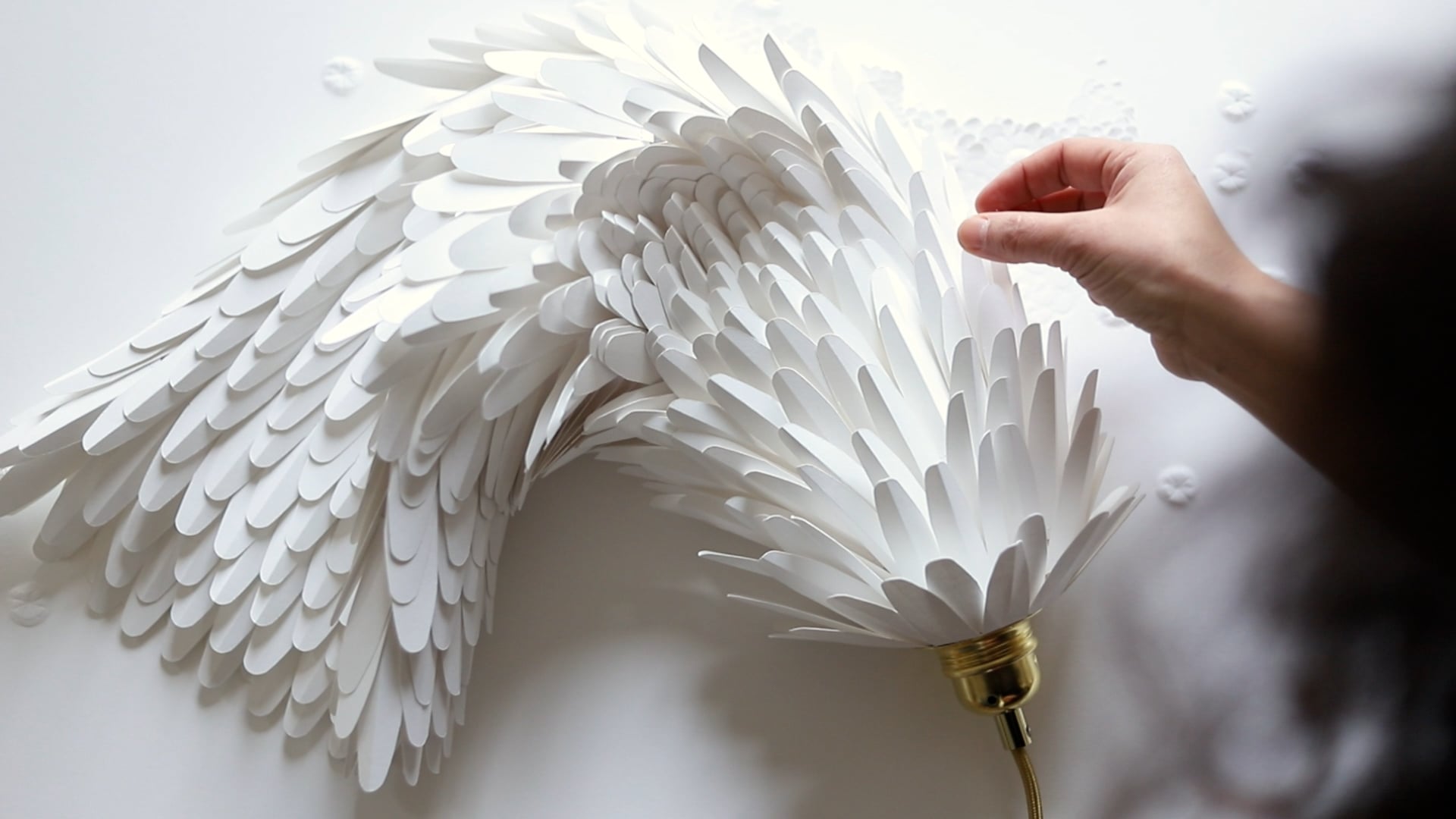 vidéo BOA Anne-Charlotte Saliba FINALE FULL HD(1)