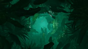 Video Resource - Forest Loop 3