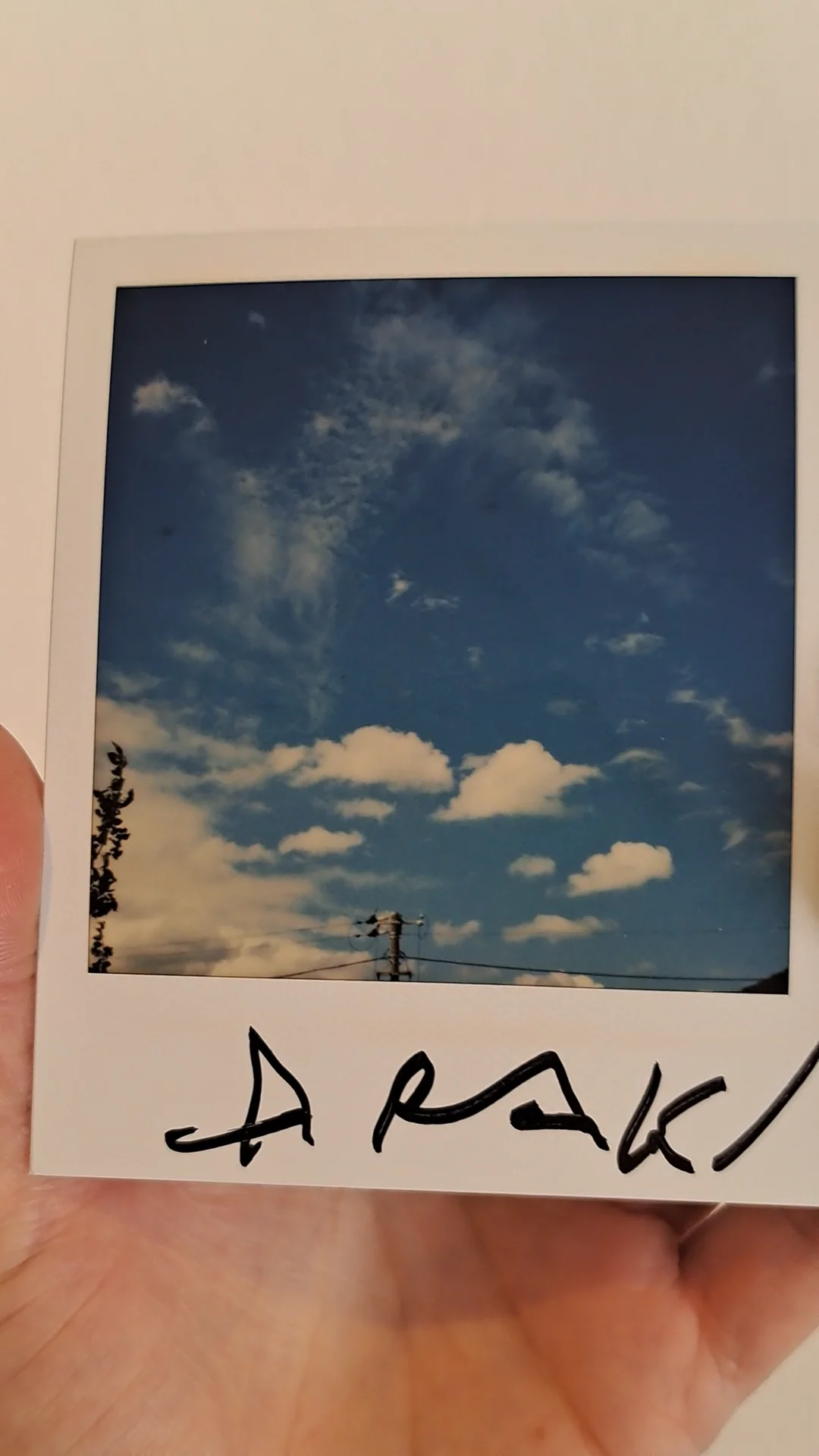 Amazon.co.jp: 森山大道 台湾 写真集 ポスター Araki Nobuyoshi