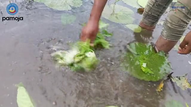 Protection de l&rsquo;eau