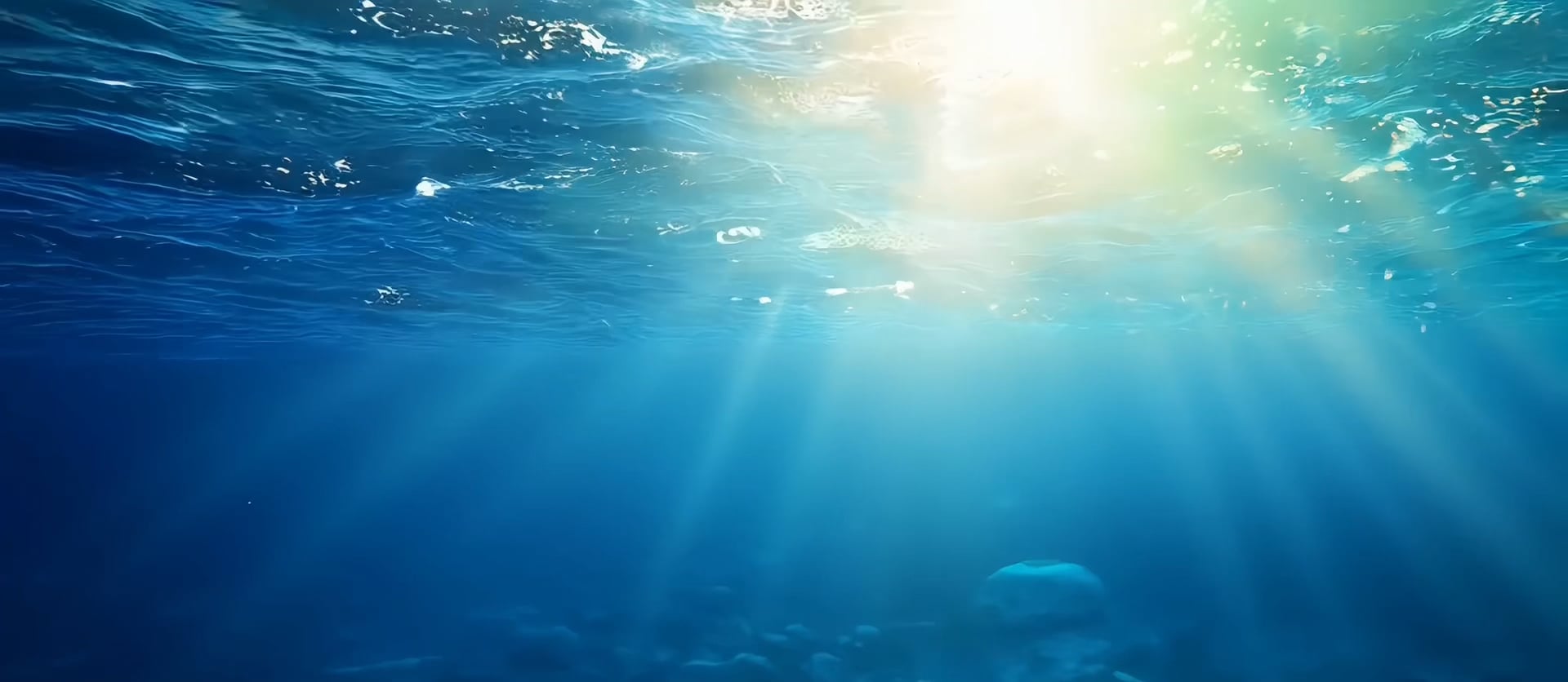 https://i.vimeocdn.com/video/2012258932-3d2bf4c34cc4904bcb6be4d78ec0bcfcaab94f87be2f2b3e1da1595d6fe3a0f7-d