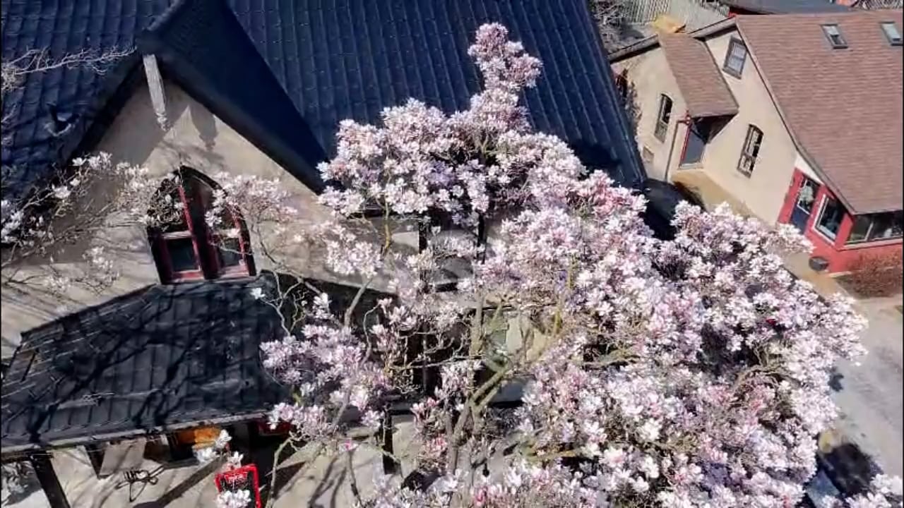 https://i.vimeocdn.com/video/2012279022-3c56bbe1ea1ac8a7ecb1c08275d7649ebbb8f28ecdab3fa2f8ce12985638389c-d