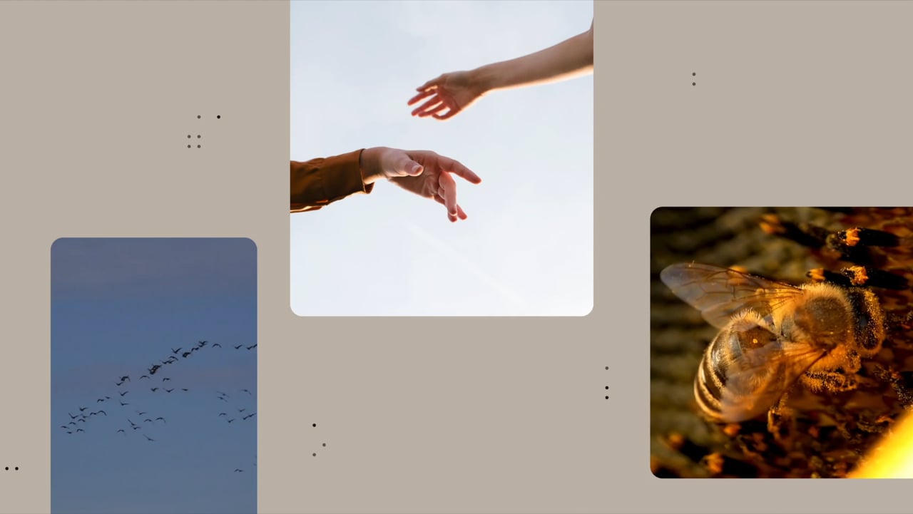 NutrientAudio-Brand — Inline-5