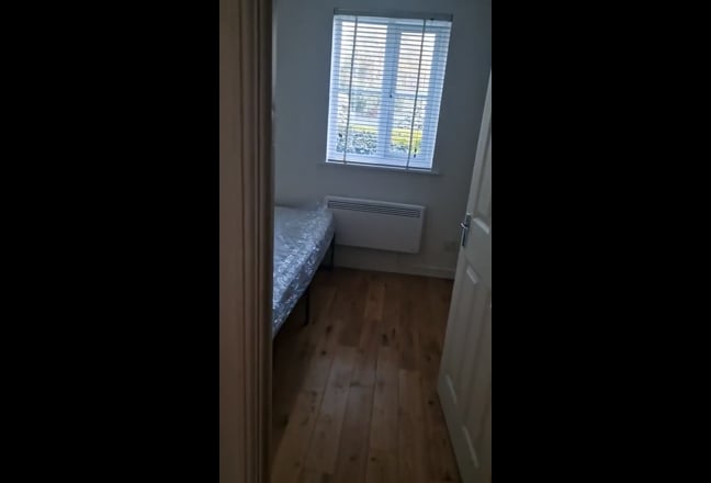 Clean spacious room available for professional Fem Main Photo
